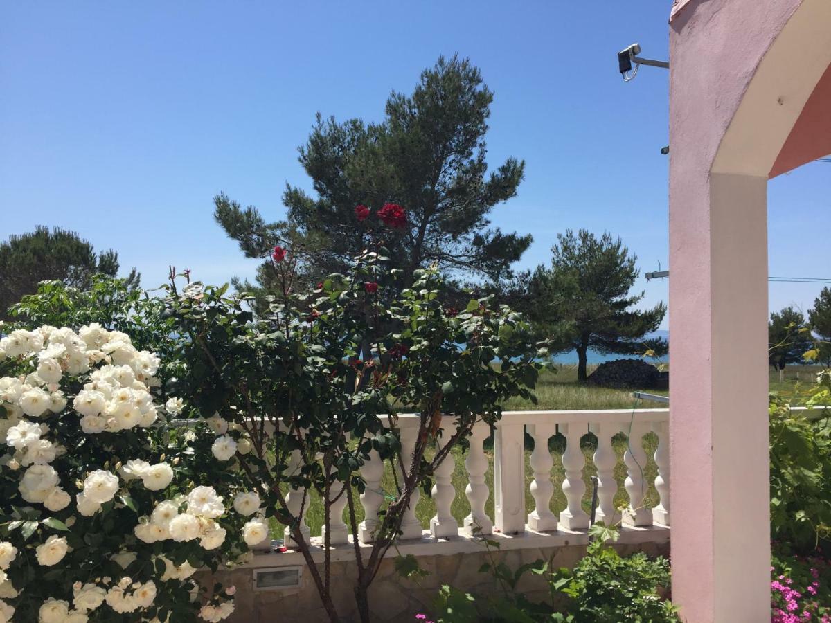 נין Marija Apartment מראה חיצוני תמונה