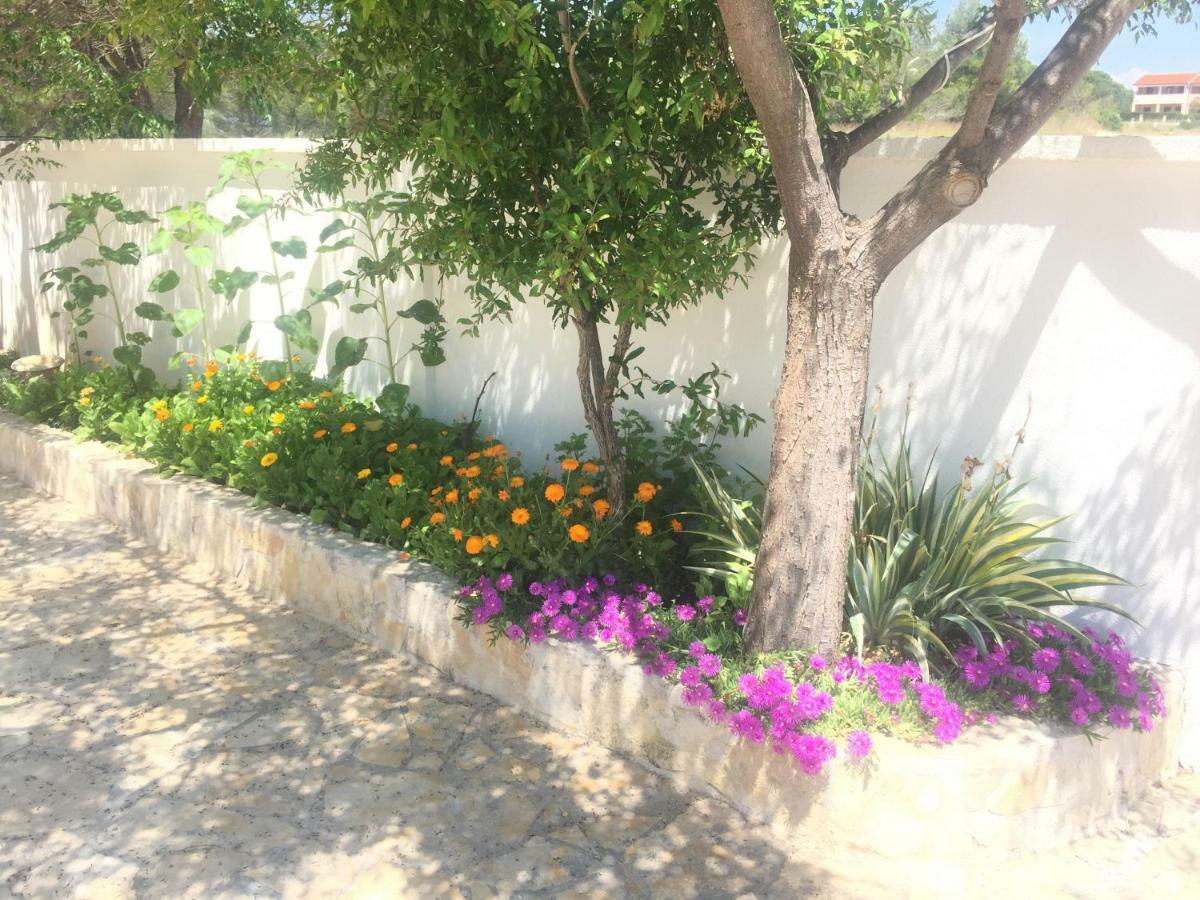 נין Marija Apartment מראה חיצוני תמונה